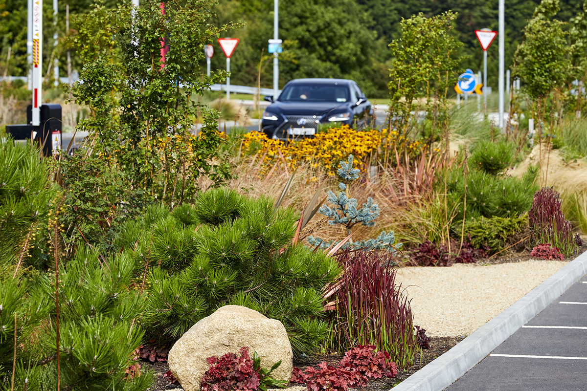 SAP Liffey Valley #10