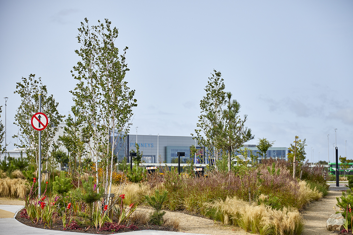 SAP Landscapes, Liffey Valley Shopping Centre project.