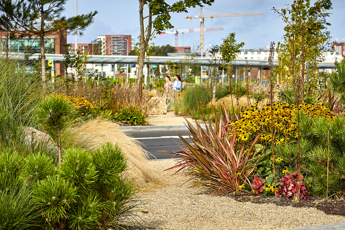 SAP Landscapes, Liffey Valley Shopping Centre project.
