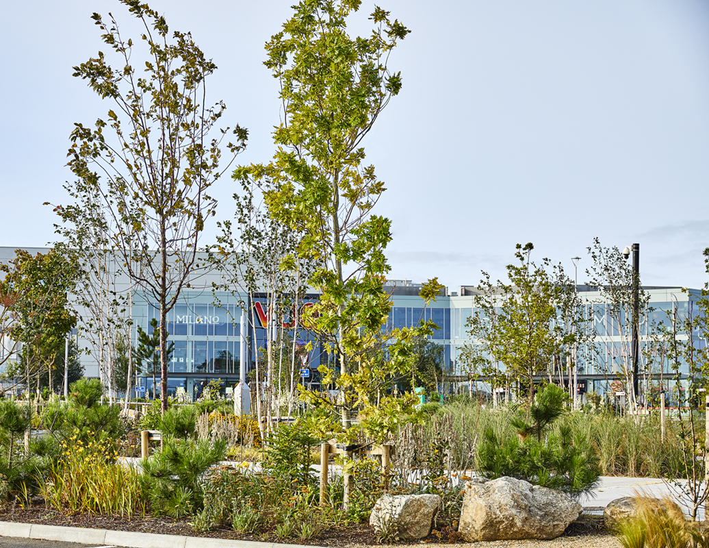 SAP Landscapes, Liffey Valley Shopping Centre project.