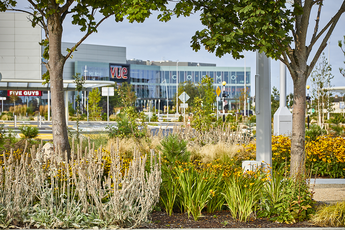 SAP Landscapes, Liffey Valley Shopping Centre project.