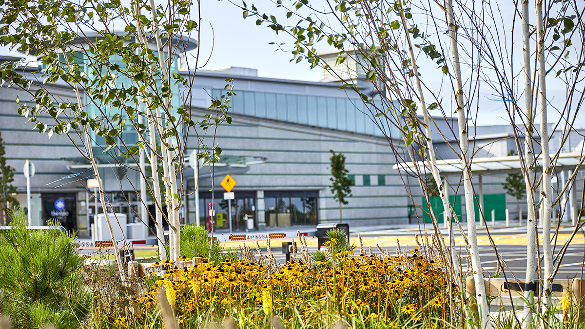 SAP Landscapes, Liffey Valley Shopping Centre project.