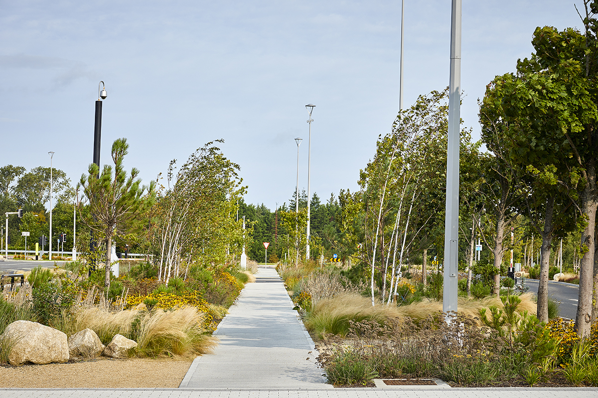SAP Landscapes, Liffey Valley Shopping Centre project.